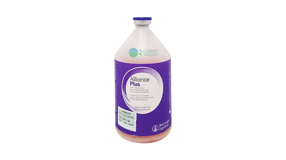 Alliance Plus