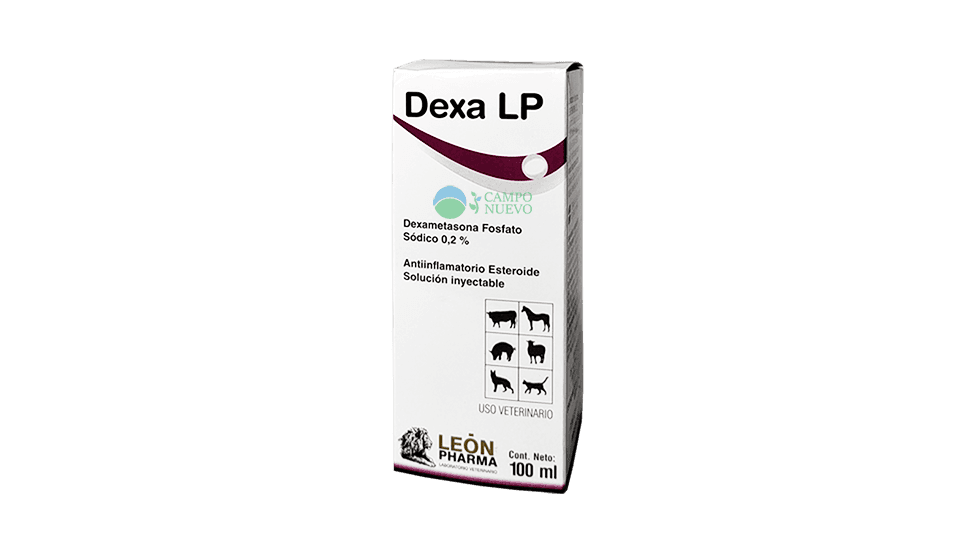 Dexa LP