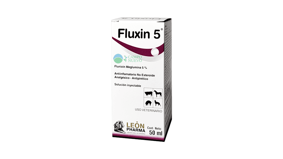 Fluxin 5