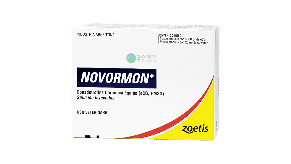 Novormon
