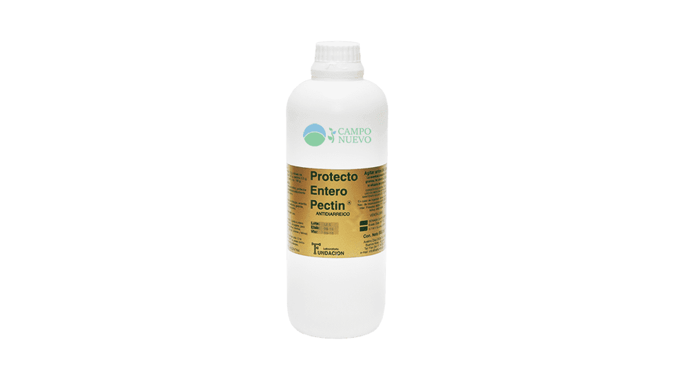Protecto Entero Pectin Fundacion