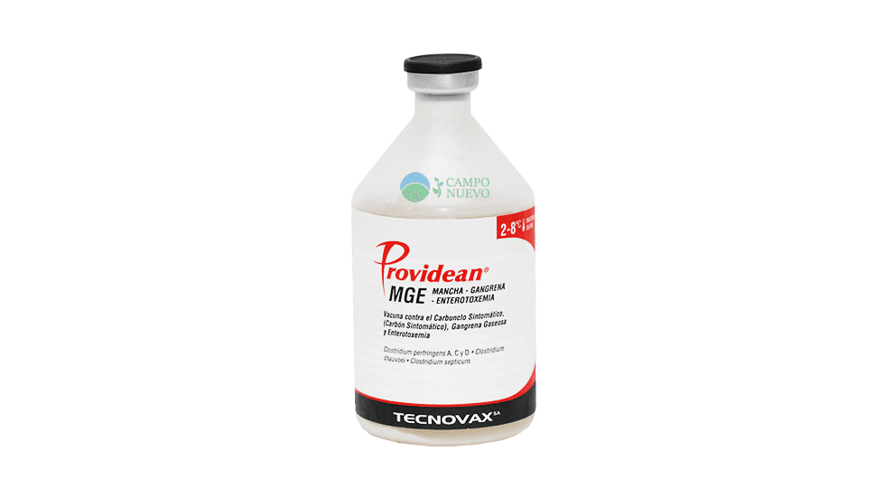 Triple Mancha, Gangrena y Enterotoxemia